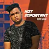 About Not Important Song